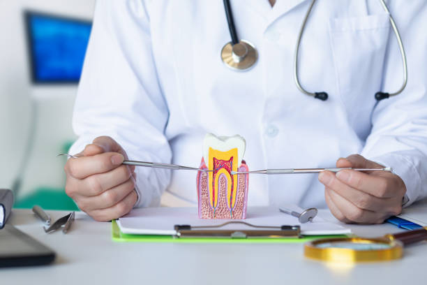 Best Emergency Dental Care for Broken or Chipped Teeth in Roscommon, MI